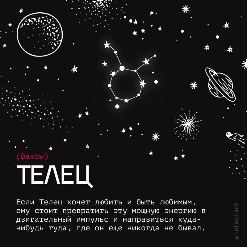 телец описание. факты о тельце. высказывания про тельцов. смешные факты о тельцах. факты о тельцах женщинах.