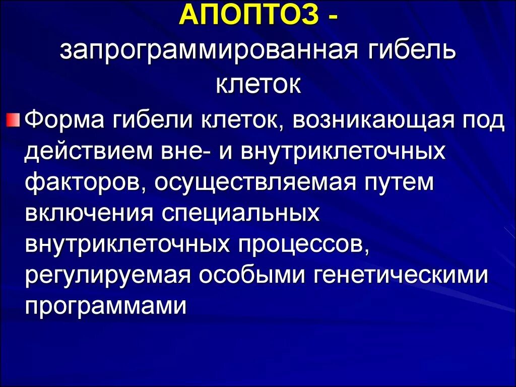 Апоптоз. Апоптоз клетки. Апоптоз это кратко. Клетки в состоянии апоптоза. Содержит ферменты осуществляющие апоптоз