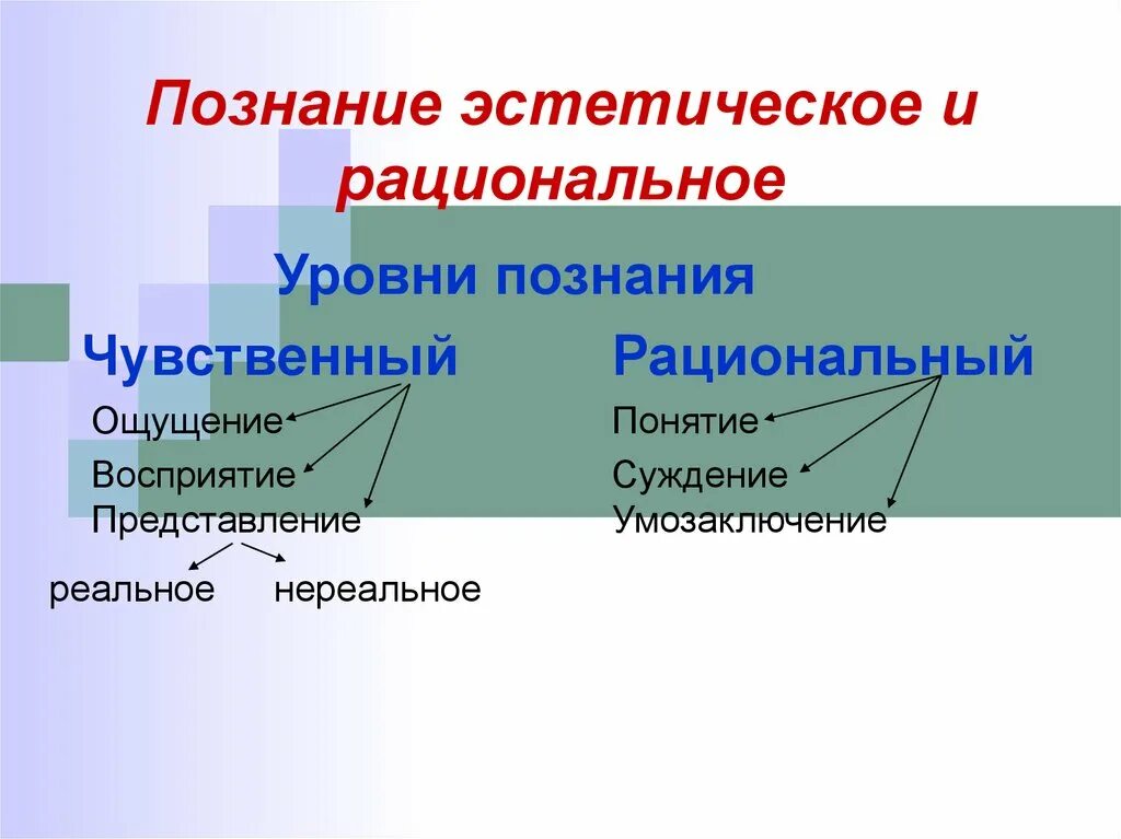 Формы познания ощущение восприятие суждение понятие представление. Уровни рационального познания. Эстетическое познание. Чувственный и рациональный уровни познания. Ощущение восприятие представление понятие суждение умозаключение.