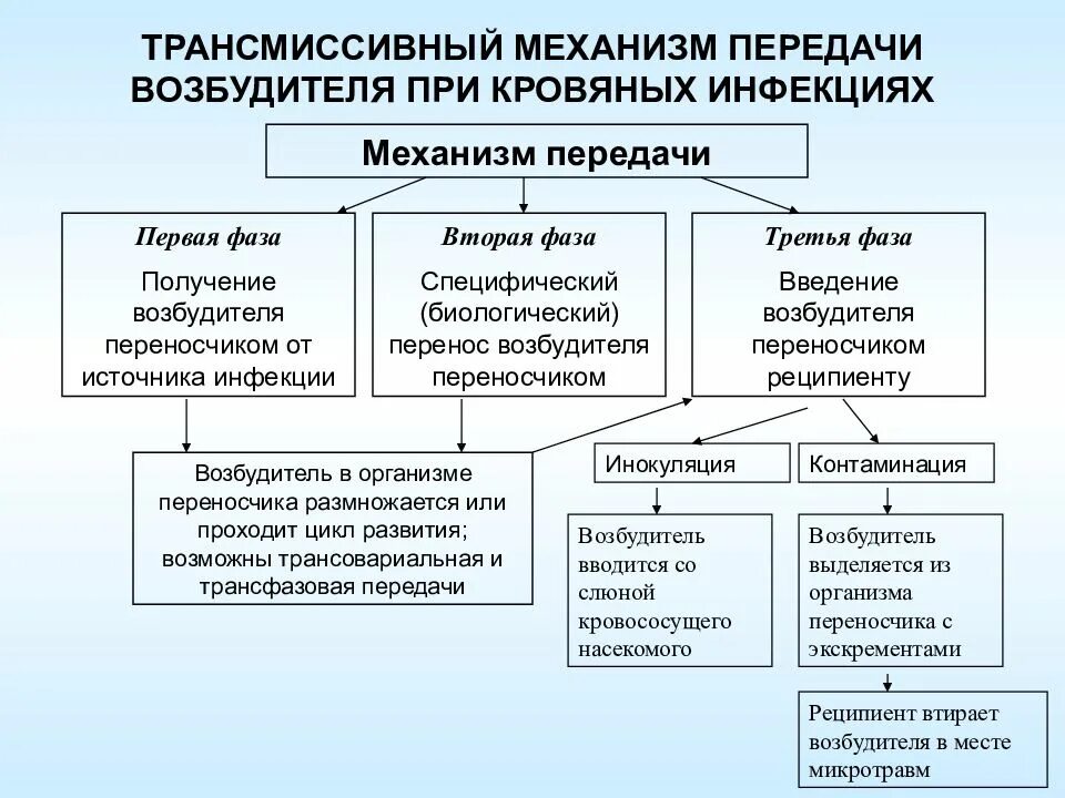 Трансмиссивные заболевания передаются