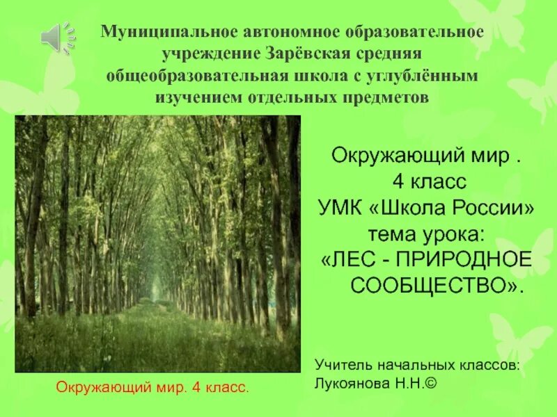 Презентация на тему лес. Лес для презентации. Природное сообщество лес. Тема урока лес. Рассказ о природном сообществе по плану