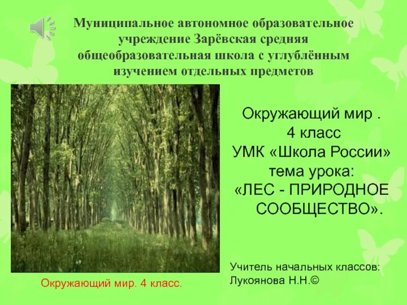 Лес презентация 4 класс плешаков. Презентация о сообществе лес. Природное сообщество лес презентация. Природные сообщества 4 класс презентация. Природное сообщество лес 4 класс.