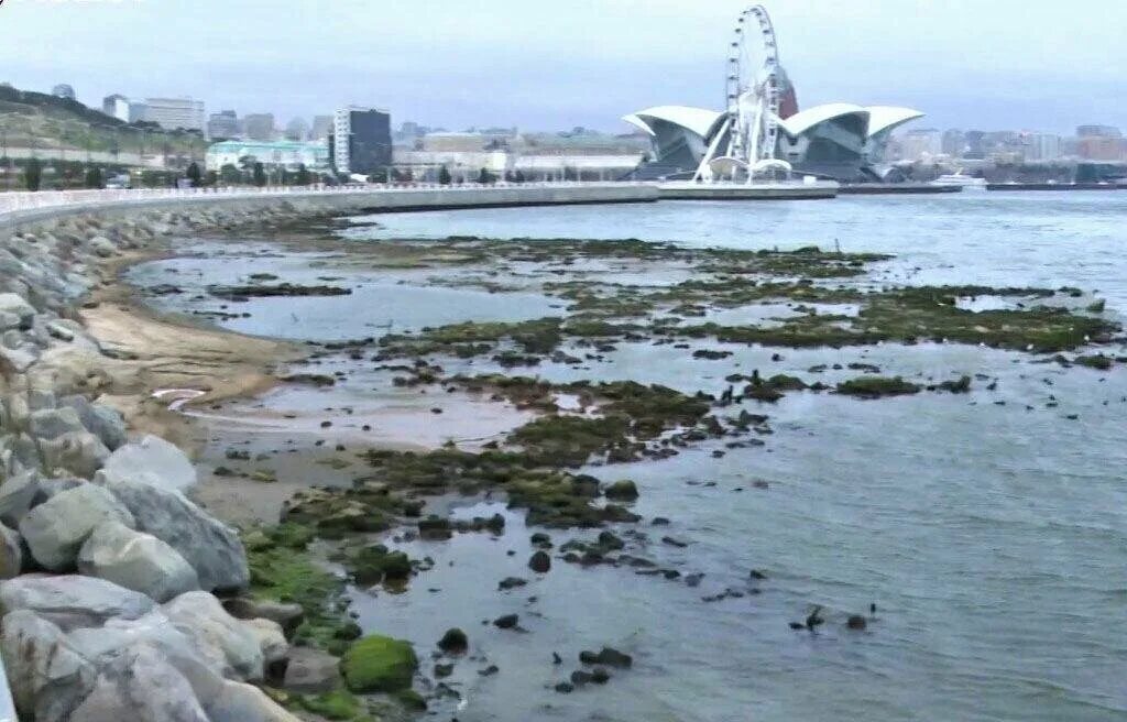 Что не так с изображением Каспийского моря на старинных картах