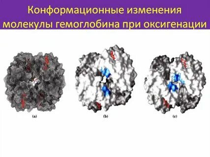 Как изменяются молекулы