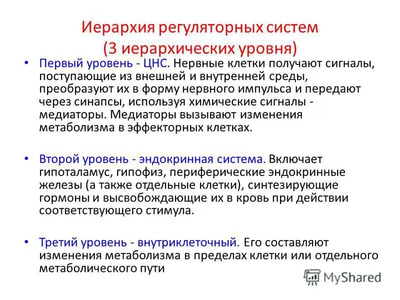 Иерархического соподчинения элементов нервной системы. Иерархичность нервной системы. Иерархия регуляторных систем в организме человека. Иерархичность в организации ЦНС. Уровни центральной нервной системы.