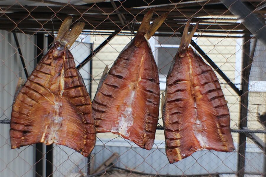 Балык из сазана. Балык из сазана. Сазан вяленый. Сазан холодного копчения. Балык из сазана.