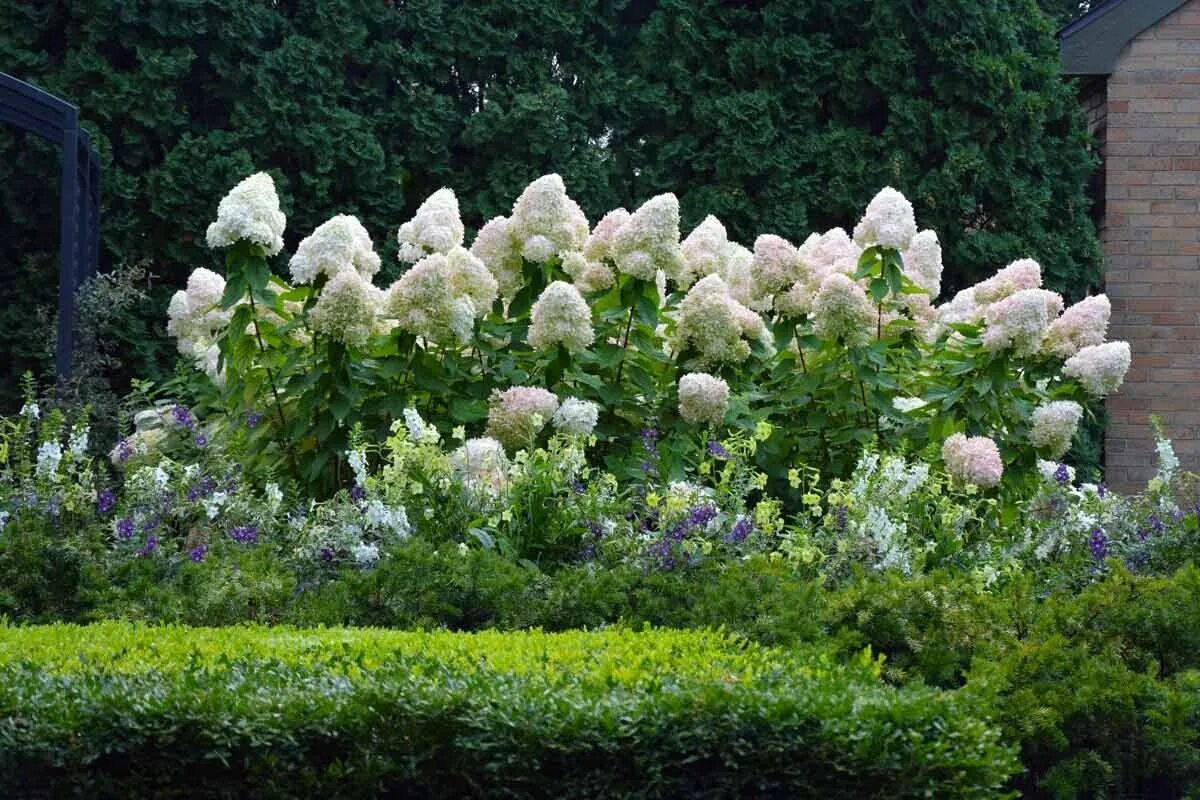 Кустики и деревья для детей. Три куста. Три куста. Три куста. Кустарники 3d модель.