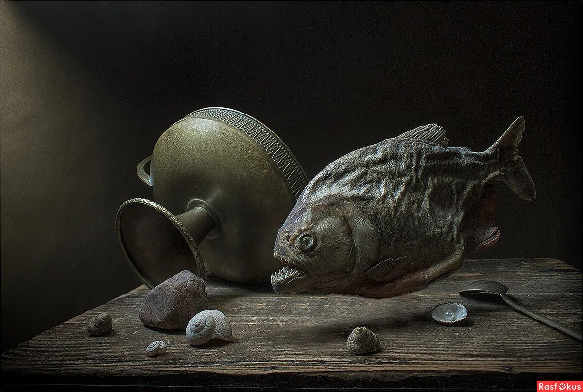 Жители дна океана. Подводные обитатели океана. Рыба плавает по дну стишок. Меня рыбки плавают по дну. Рыба которая лежит на дне плоская.