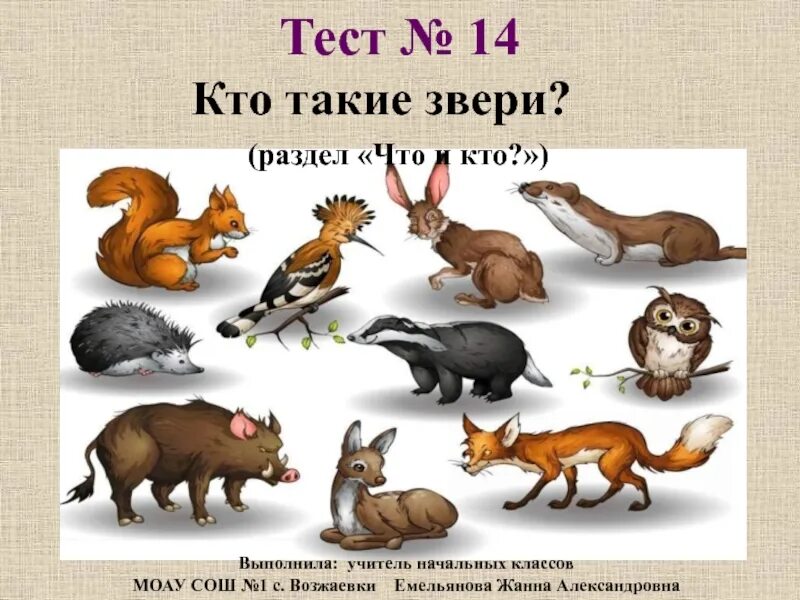 Тесты животные картинки. Кто такие звери. Звери 1 класс. Тест кто такие звери. Кто такое звери 1 класс.