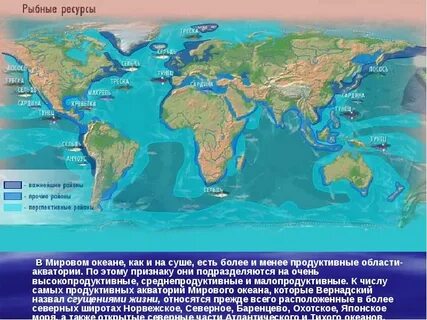 Мировой океан больше суши