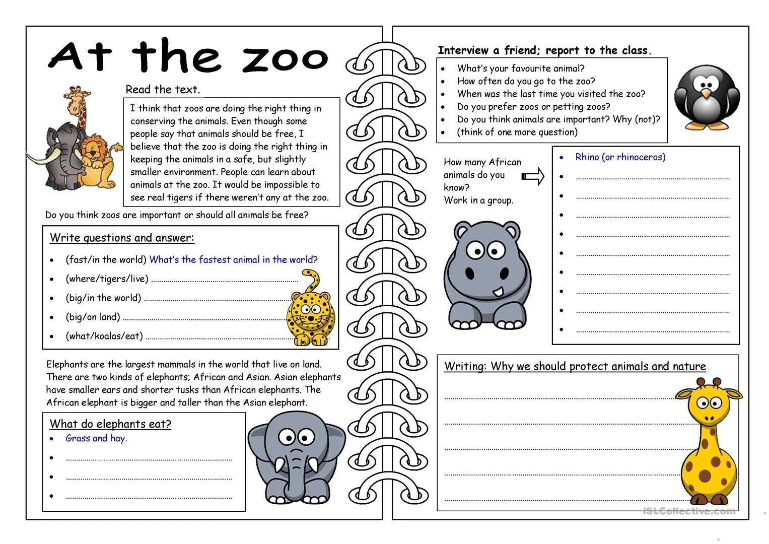 Questions about pets. At the Zoo задания. Английский язык Worksheets. Английский упражнения animals Worksheet. Задания английский английский животные.