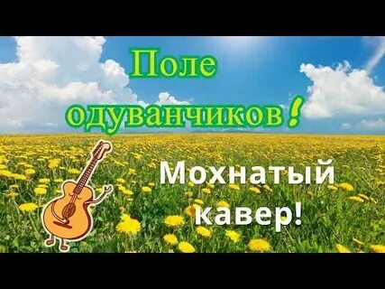 Поле одуванчиков песня
