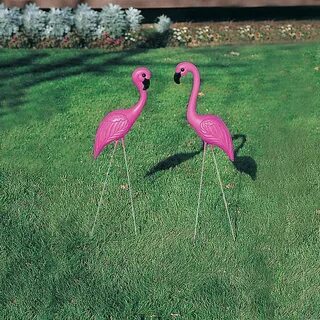 Stake pink