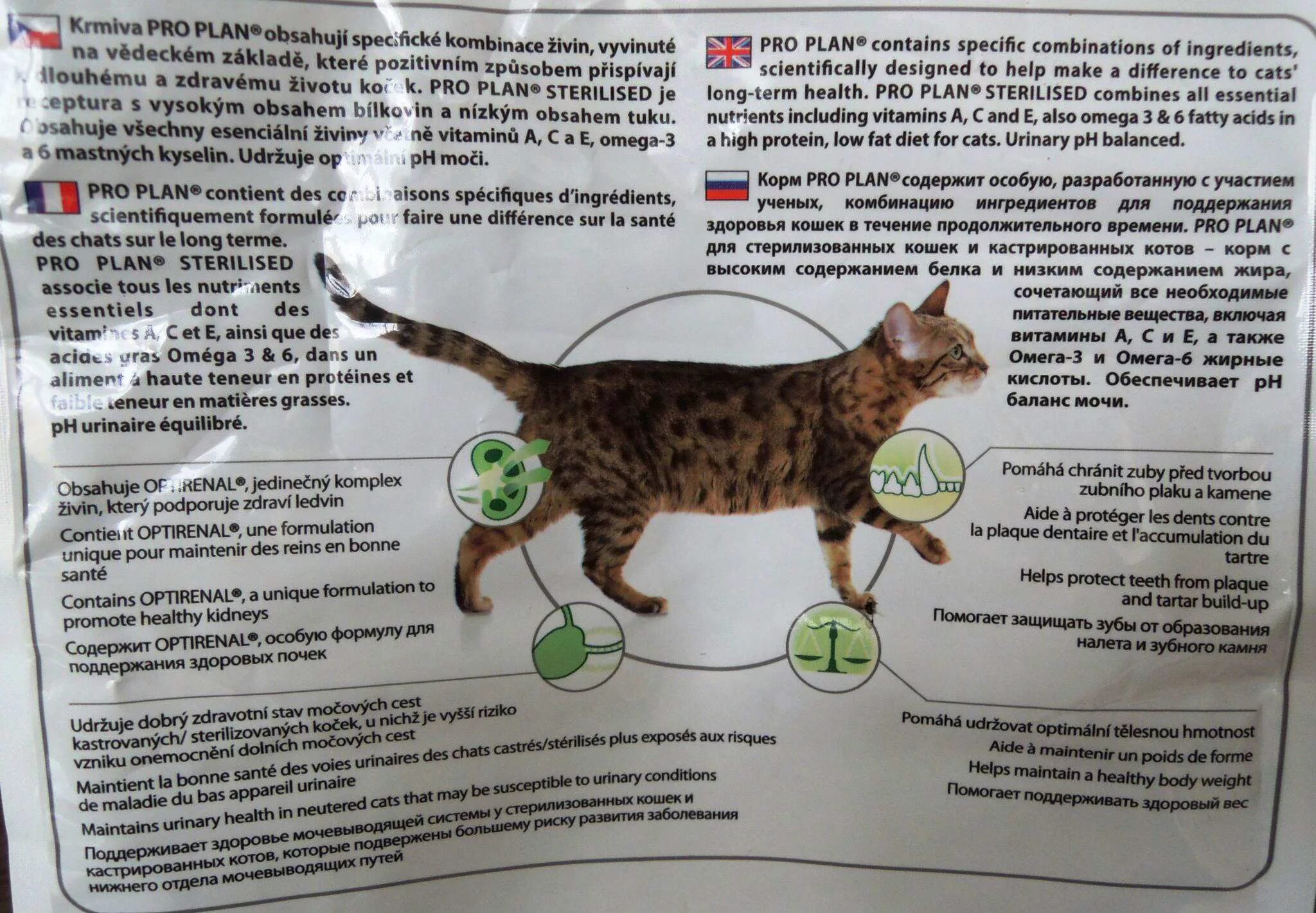 Можно давать стерилизованной кошке обычный корм. Кот для кастрированных котов. Мочегонное для кастрированных котов. Кастрированный кот вес. Вес кота для стерилизации.