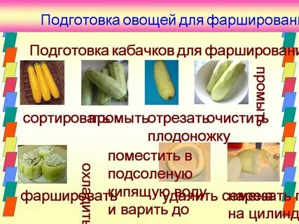 Составьте технологическую схему первичной обработки кабачков