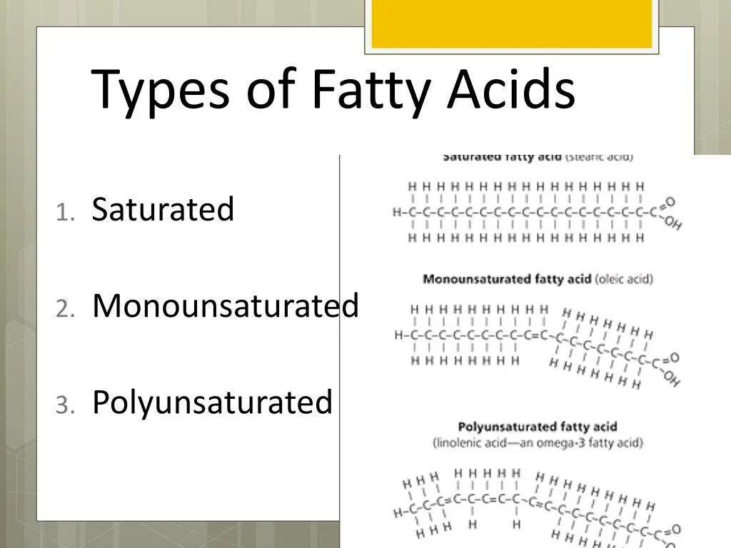 Acid type. Types of fatty acids. saturated fatty acids. monounsaturated. types of acids.
