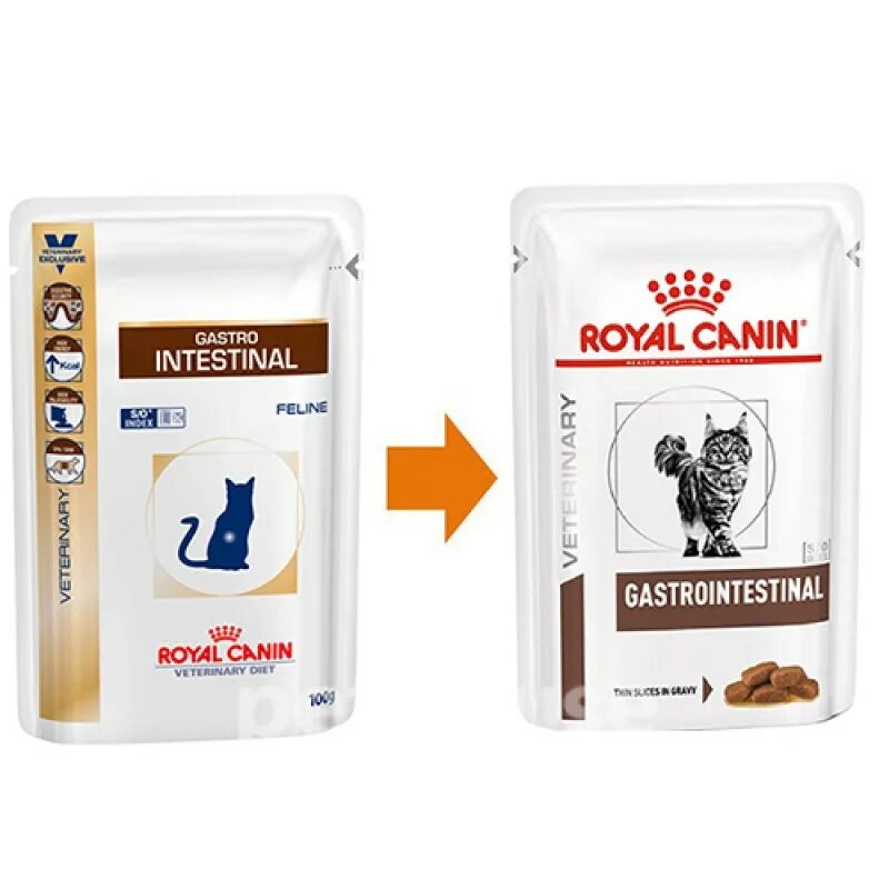 Royal canin intestinal для кошек. Роял Канин Интестинал для кошек. Корм доя кошек гастроинтесинал Роял Конин влажный. Роял Канин гастро Интестинал для кошек. Роял Канин гастро Интестинал для кошек пауч.