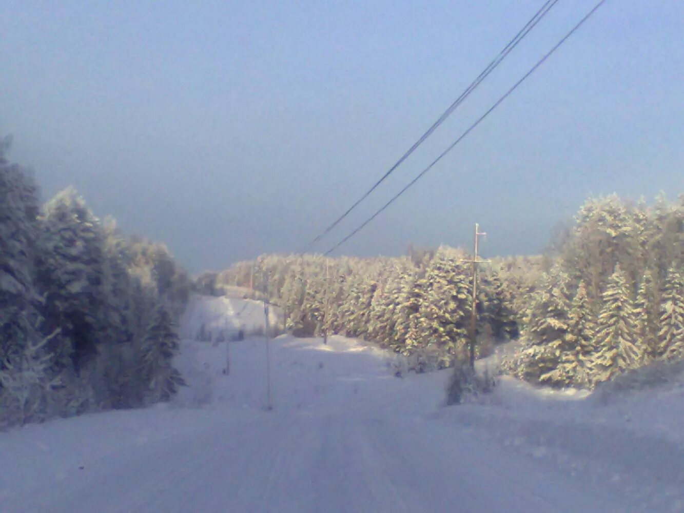 воробьевица костромская область.