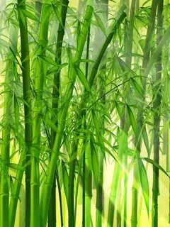 1440p Bamboo Background Painting Of Bamboo Trees Background.