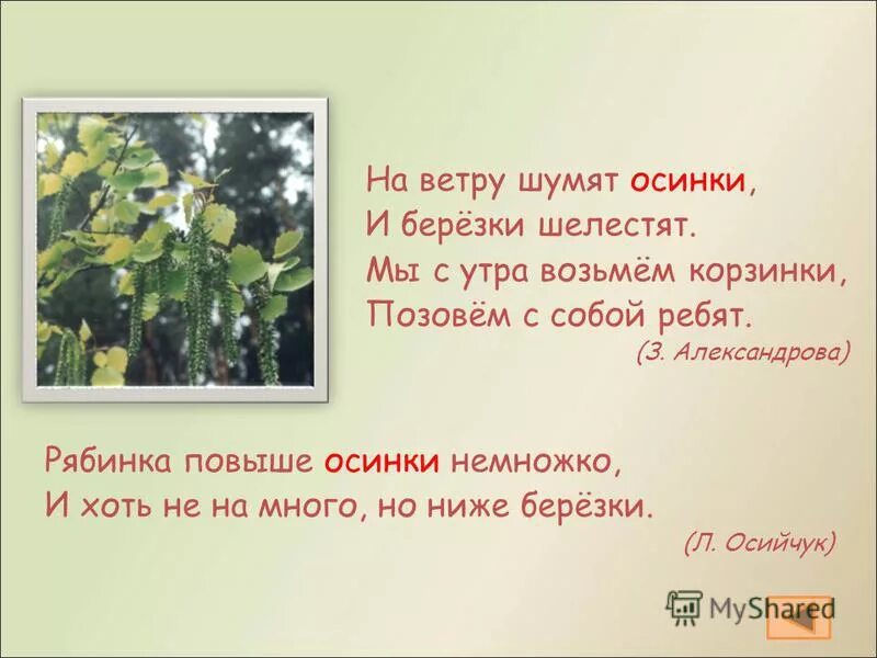 Словарное слово осина. Ветер шумит ветер. Ветер шумел в ответ. Ветер весело шумит судно весело бежит. Пушкин грусть тоска меня.