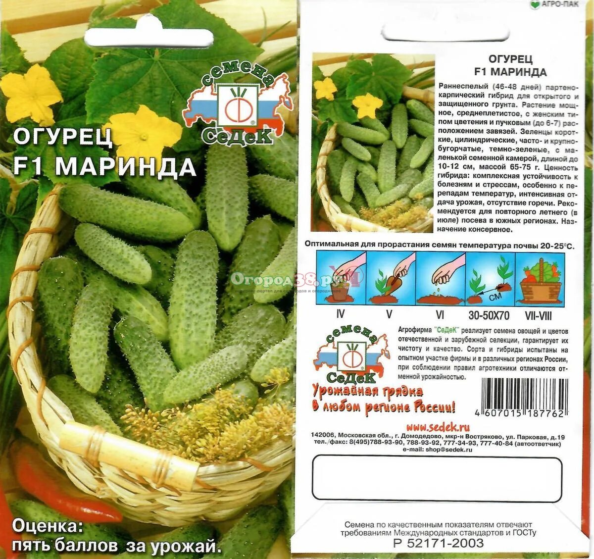 Сорт огурцов миринда описание. Огурец маринда гавриш. огурцы маринда f1 характеристика и описание. огурец маринда f1.