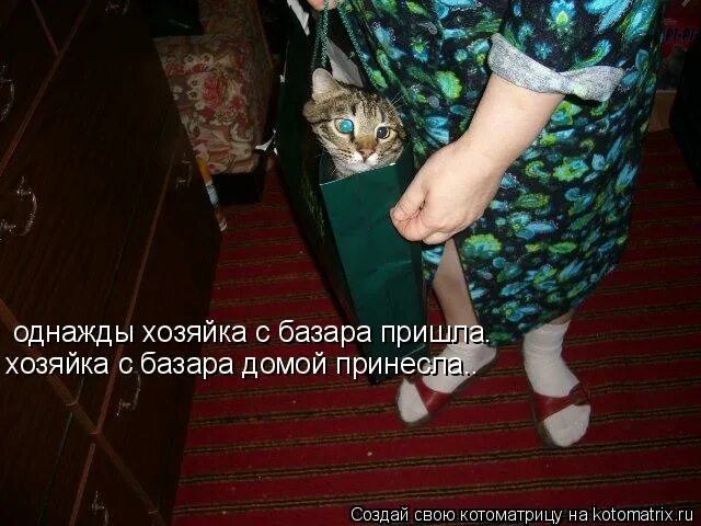 Хозяйка пришла за деньгами