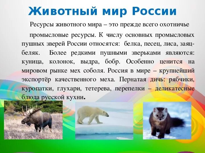 Проект животный мир России. Проект животные России. Проект на тему животный мир России. Животный мир России презентация.