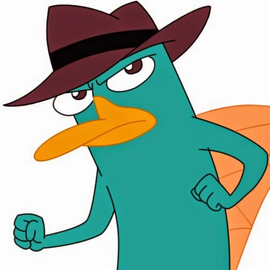 Perry the platypus. Перри-утконос. Агент перри утконос. Чехарда перри утконос. Финес и ферб перри.