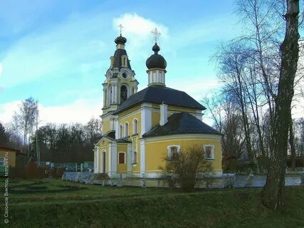 Архангельского тюрикова