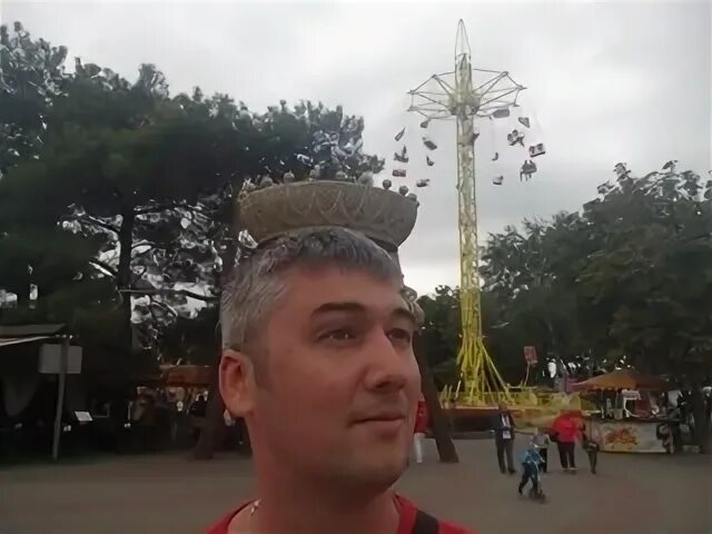 Саламатов тольятти