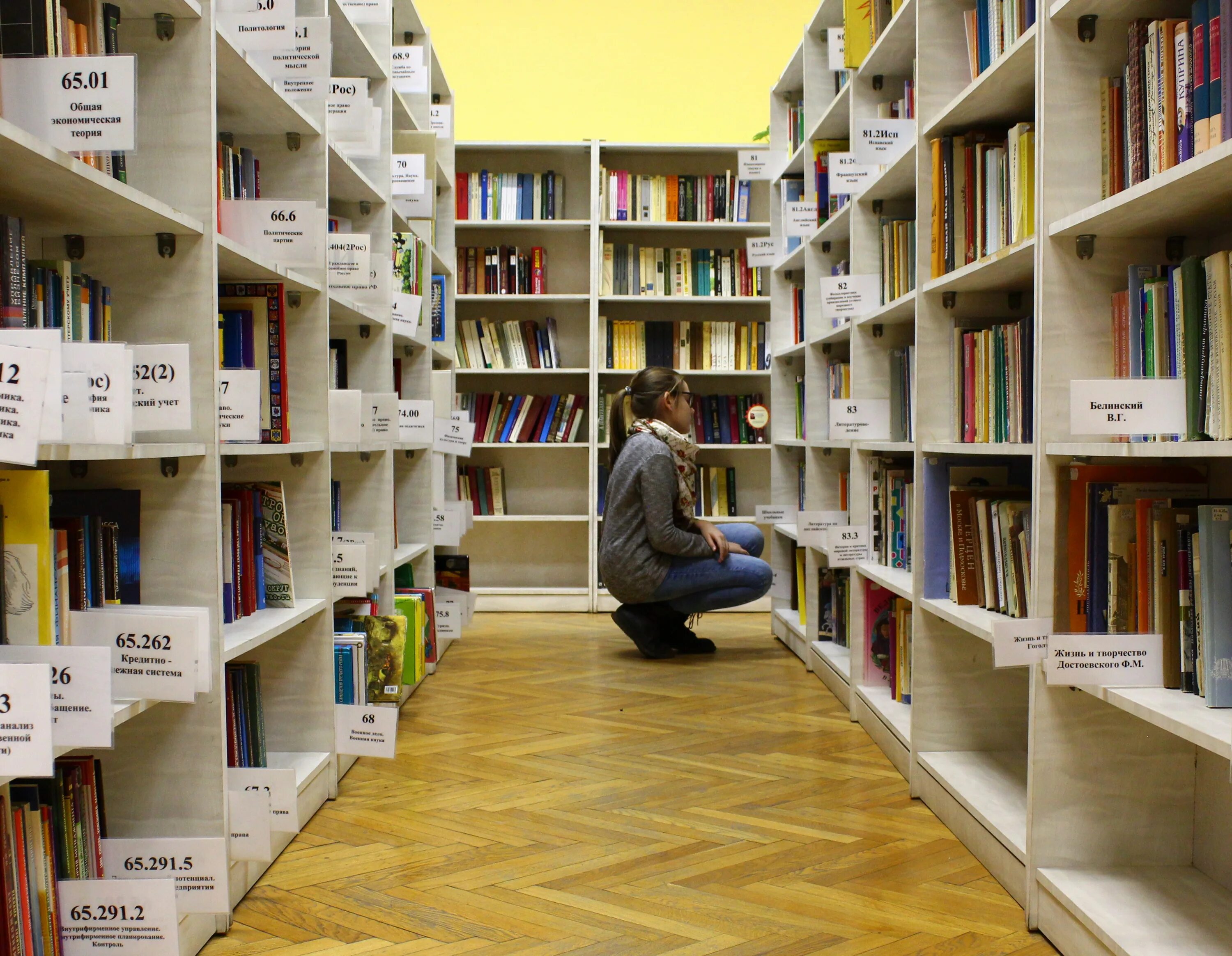 Печатные издания библиотек. Библиотечные полки. стеллажи для книг в библиотеку. книжные стеллажи в библиотеке. книга библиотека.