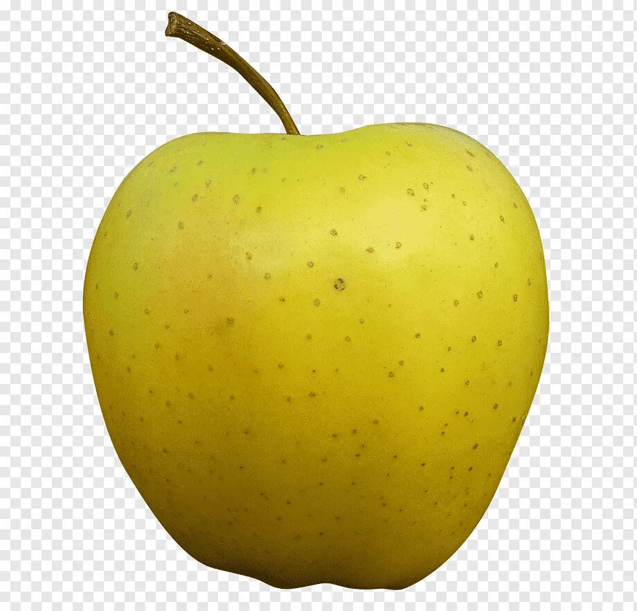 Золотая яблоня. Золотой яблоко желтый. Golden apple 3. Яблоки гольден или голден. Золотой яблоко желтый.