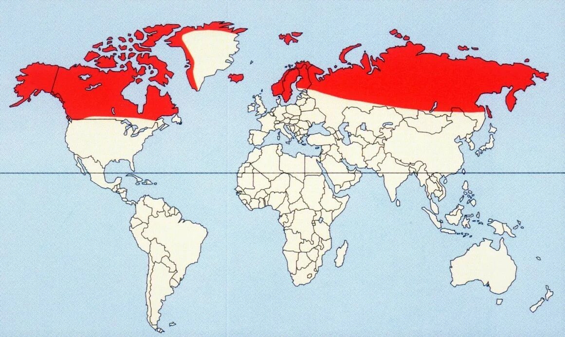Ареал распространения Северного оленя. Ареал обитания северных оленей на карте. Се́верный оле́нь ареал. Ариал обитания Северного оленя.
