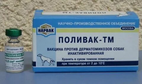 Уколы собаке от подкожного клеща