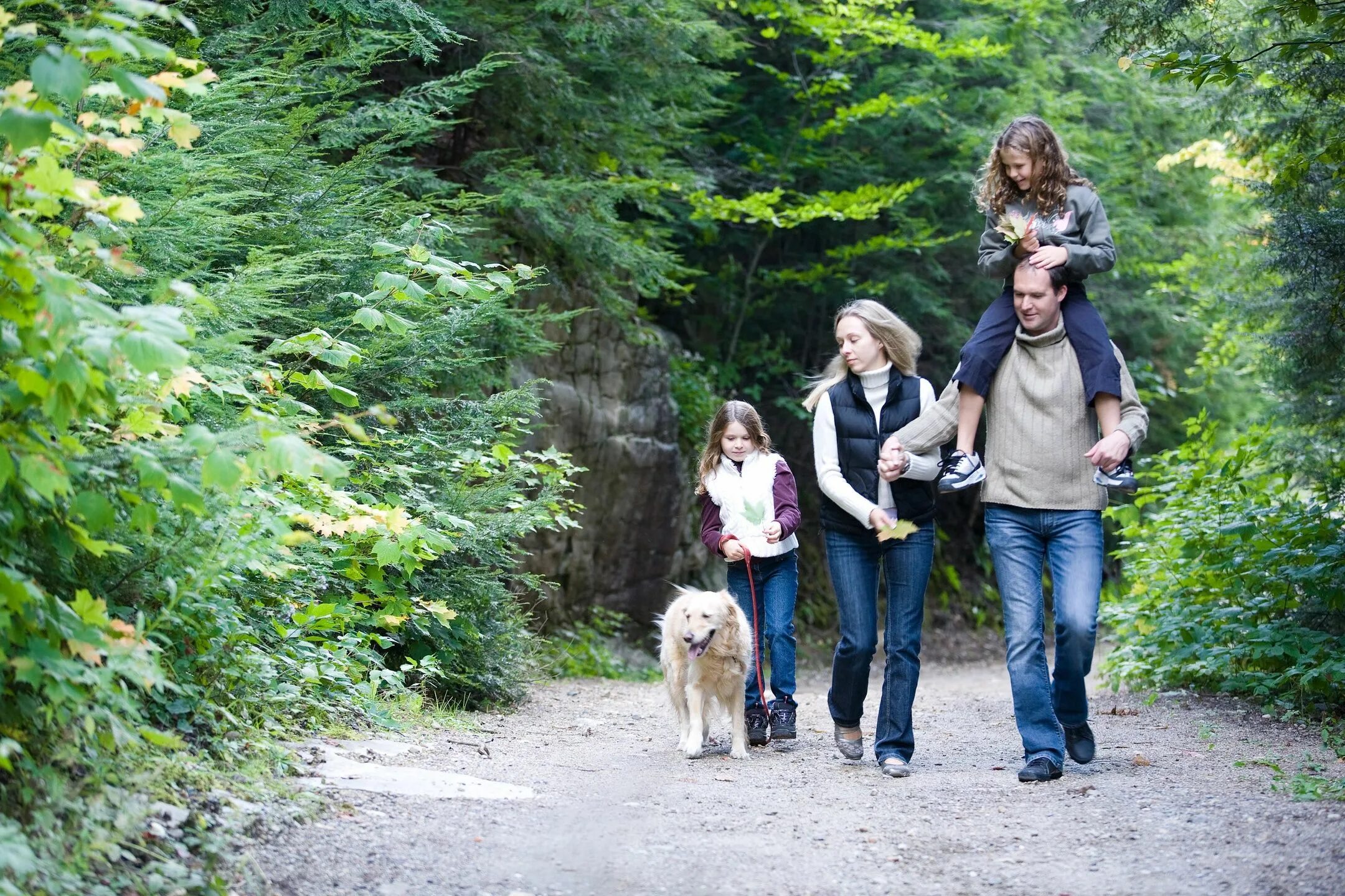 Прогулка на природе. Прогулка в лесу. Семья на прогулке. Пешие прогулки на природе.