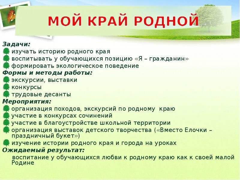 Мероприятия по родному краю. Сочинение мой родной край. Рассказ мой родной край. Вопросы о родном крае. План изучения родного края.