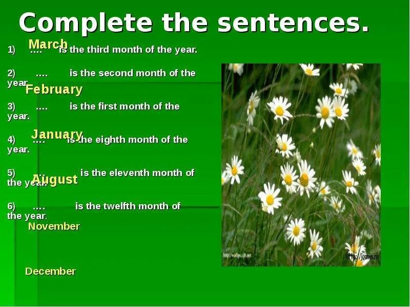 Complete the months and seasons. The second month of the year. Презентация на тему months of the year. Seasons and months презентация на английском. The first month of the year.