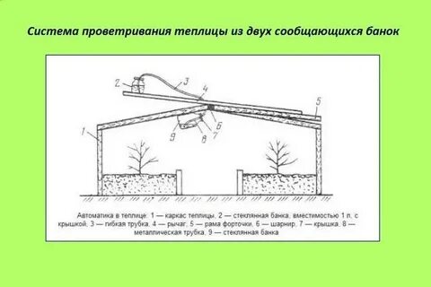 Правильное проветривание в теплице
