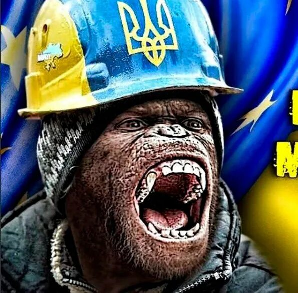 Аватарки против Украины. Укронацисты. Фото укронацистов. Аватарки против