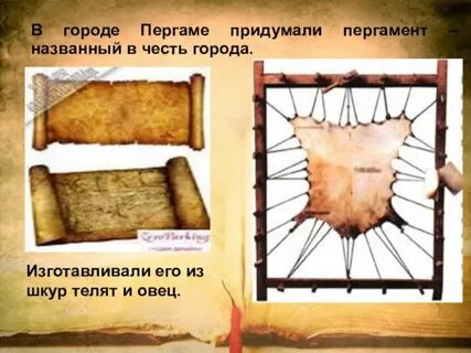 Из чего изготовляли пергамент