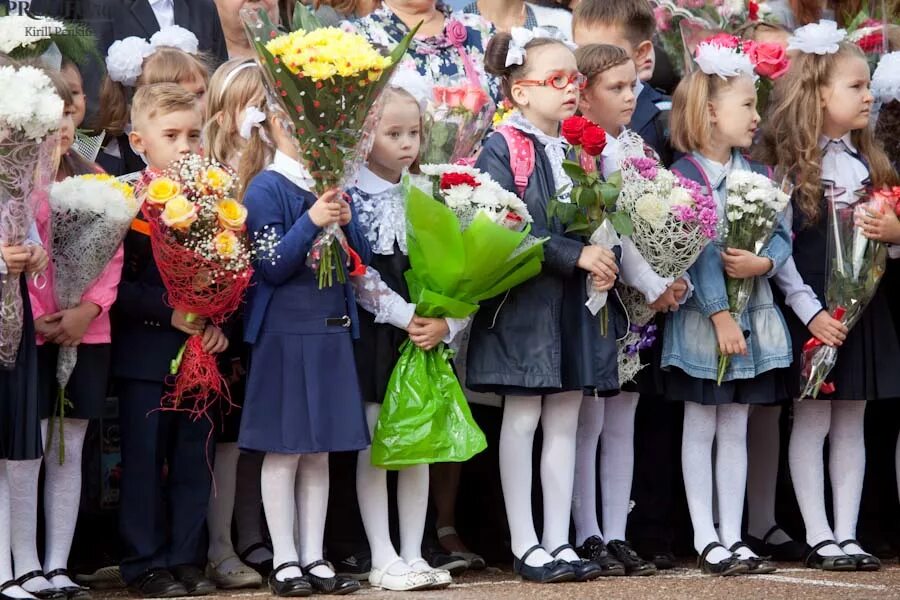 Пошли на линейку. Первоклашки на линейке. Школьная линейка. Дети на линейке 1 сентября. Линейка в школе.