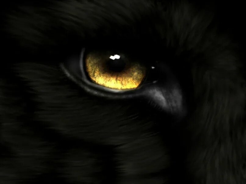 Глаза волка ночью. Глаз волка. Глаза волка в темноте. Глаза оборотня в темноте. Оборотень с красными глазами в темноте.