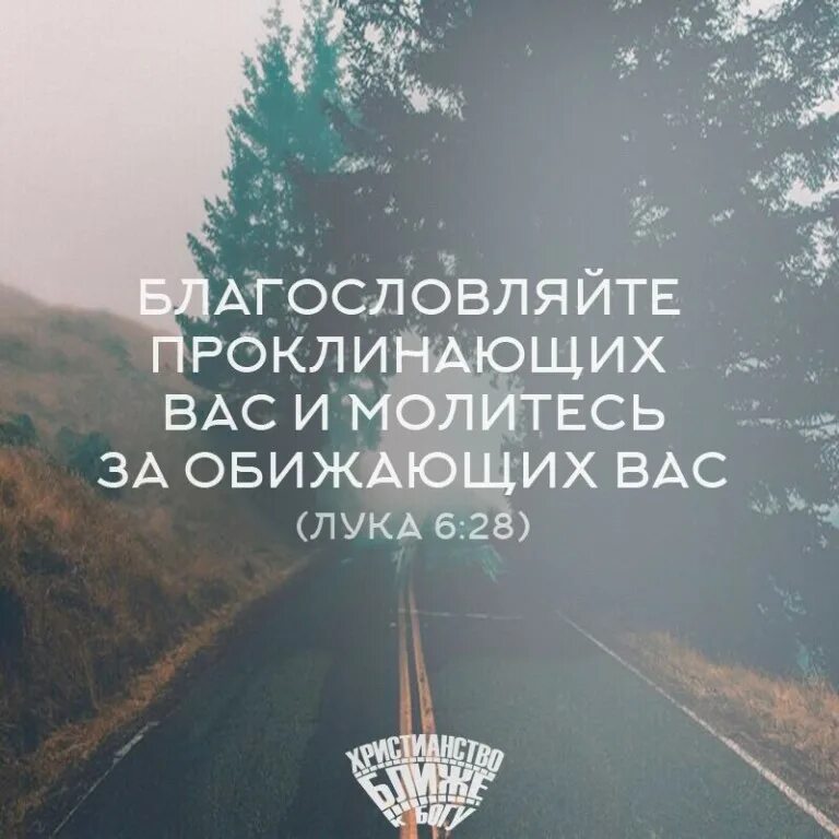 Благословляйте проклинающих вас и молитесь. Любите врагов ваших благословляйте. Любите врагов ваших благословляйте проклинающих вас. Молитесь за обижающих вас благословляйте проклинающих и гонящих. Молитесь за врагов ваших благословляйте проклинающих вас.