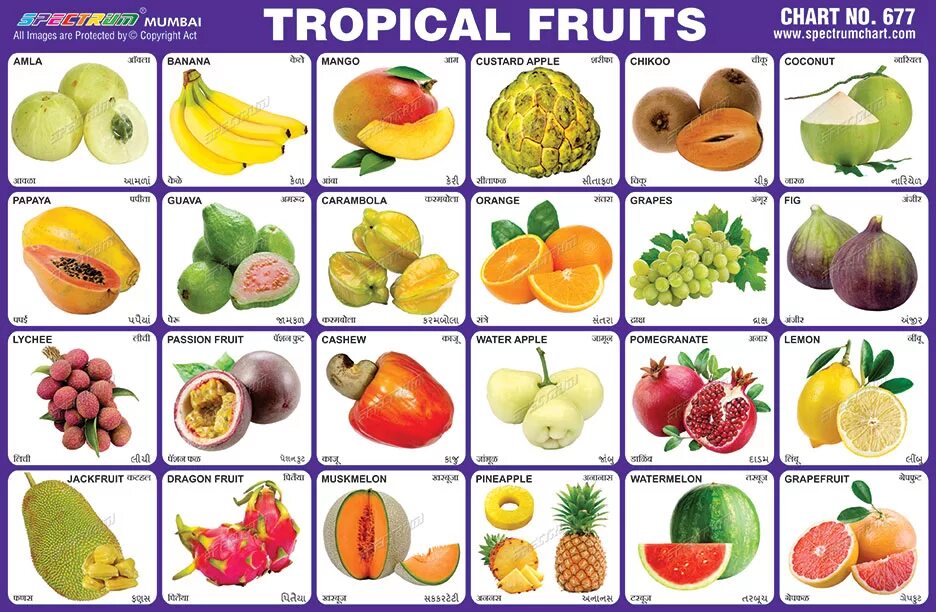 Тропические фрукты перечень. Наименования экзотических фруктов. Экзотические фрукты названия. Тропические фрукты и ягоды названия. Фрукты их значение