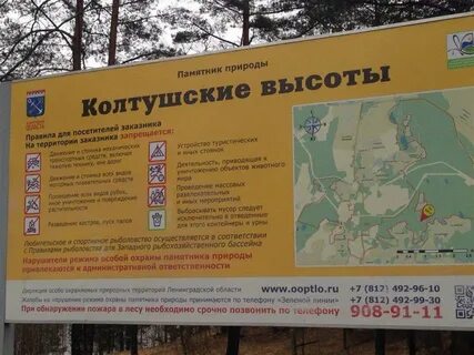 Колтушские высоты