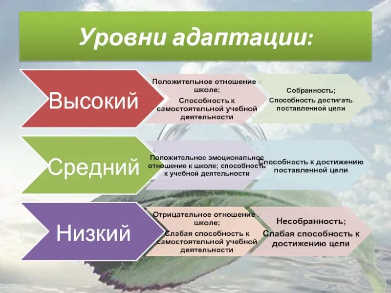 Успешная адаптация работников: три подхода, четыре этапа и пять факторов Террито