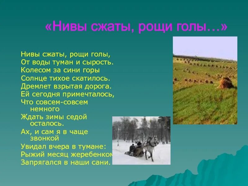 Нивы сжаты Рощи голы. Есенин Рощи голы. Нивы сжаты Рощи голы от воды туман и сырость. Некрасов Нивы сжаты.