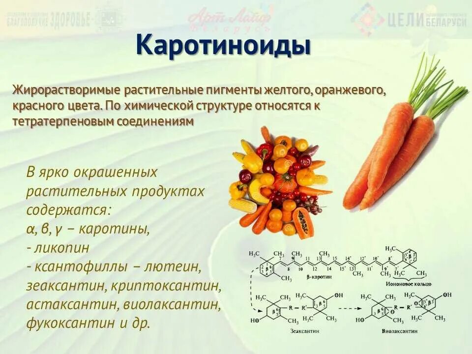 Пигмент каротиноиды. Каротиноиды. Каротиноиды моркови. Каротиноиды строение и функции. Каротиноиды продукты.