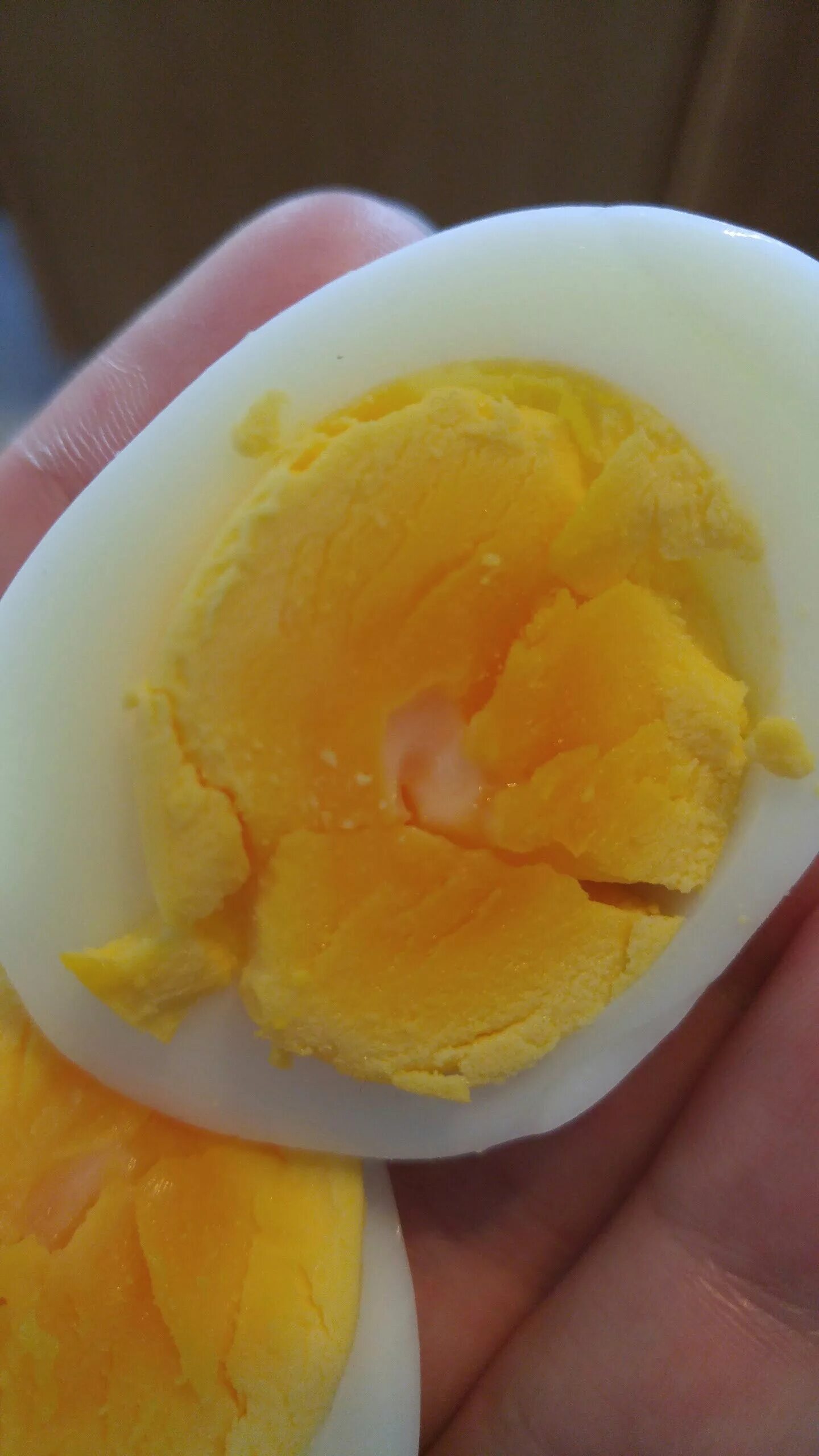 Оплодотворенное куриное яйцо. Куриннре яйцо с зародыш.