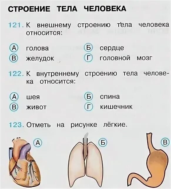 Строение тела человека задания. Строение человека 2 класс задания. Организм человека проверочная работа. Карточка по строению тела человека. Тест окружающий мир тело человека 2 класс